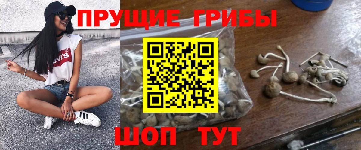 Псилоцибиновые грибы Magic Shrooms Видное