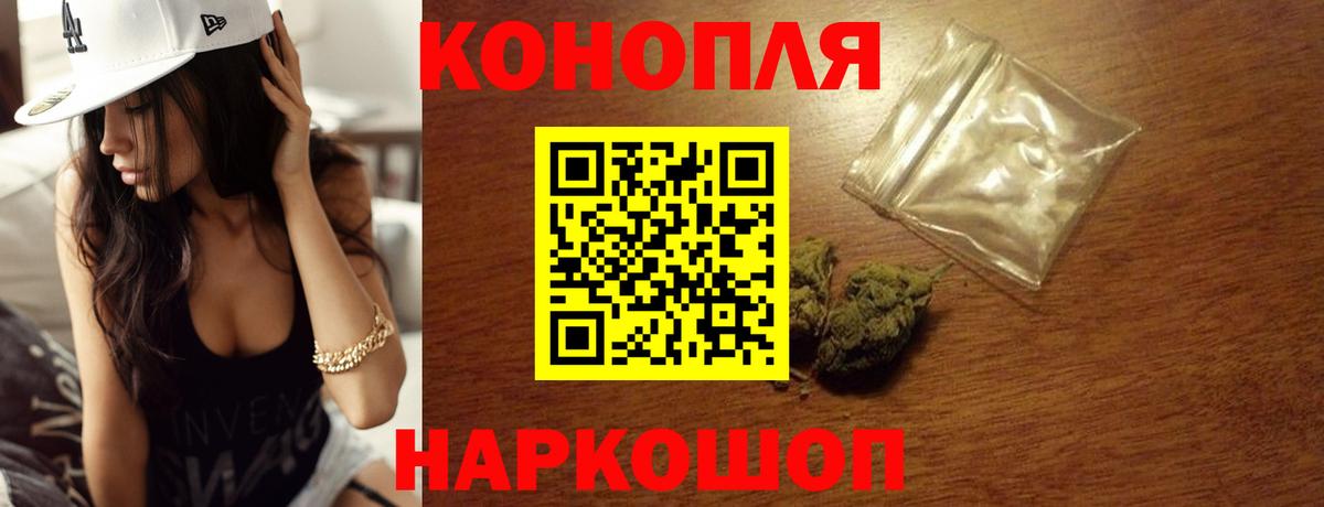 Бошки марихуана конопля Видное
